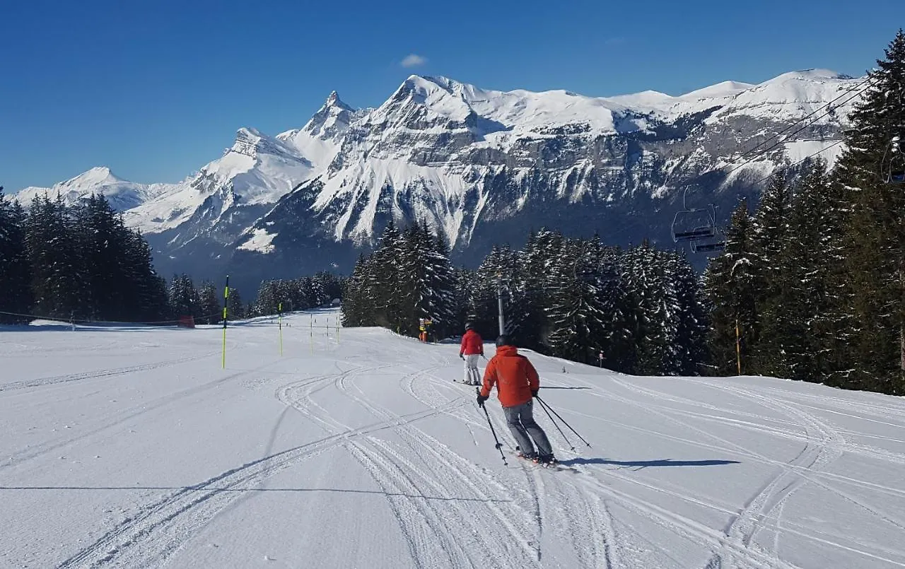 Chalet Arpitan - les Carroz - Grand Massif