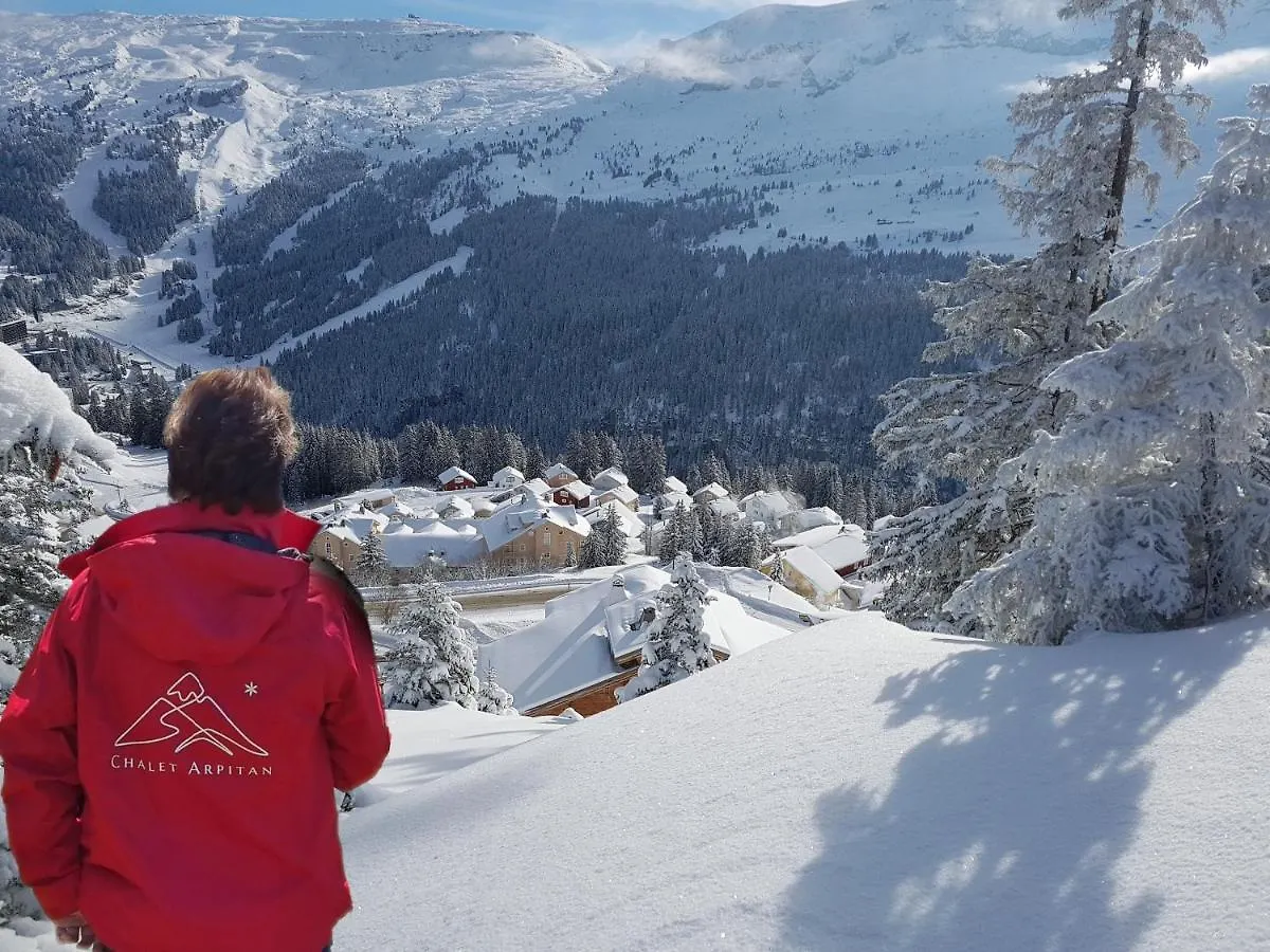 Chalet Arpitan - les Carroz - Grand Massif